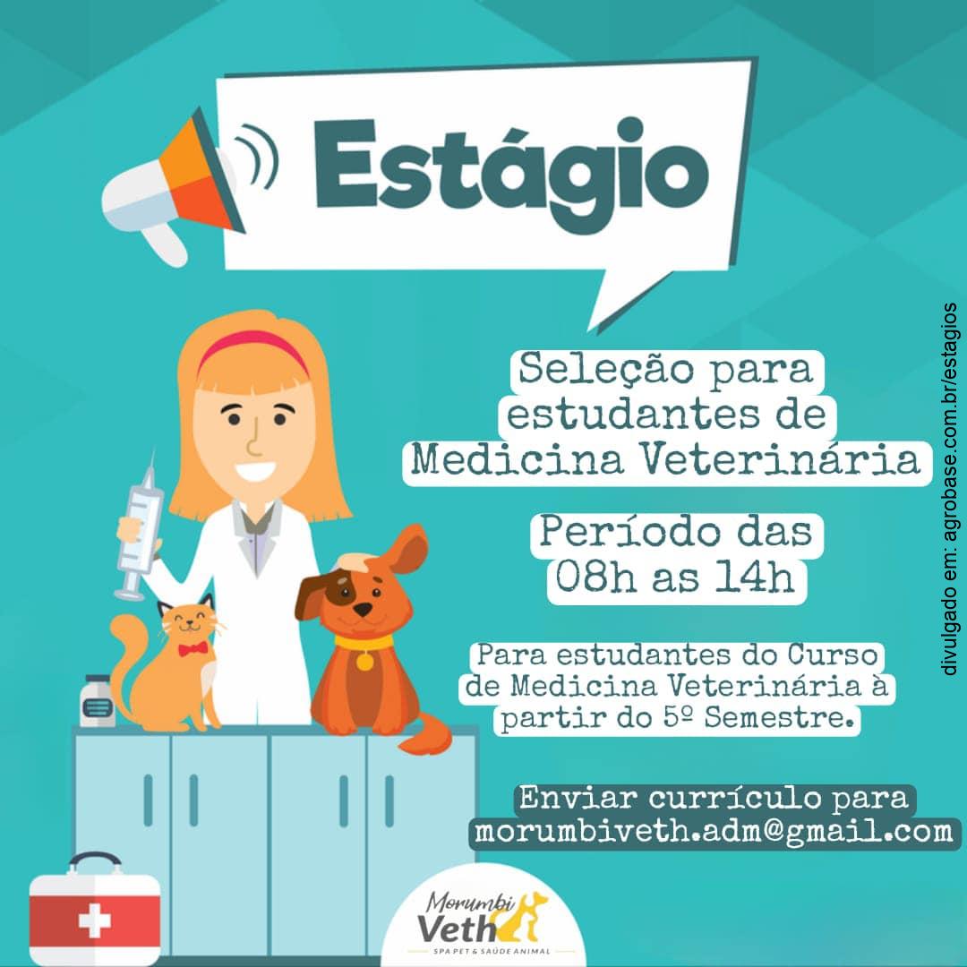 Vaga estágio med. veterinária (08 às 14h) – São Paulo/SP