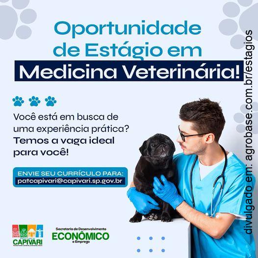 Estágio em medicina veterinária – Capivari/SP