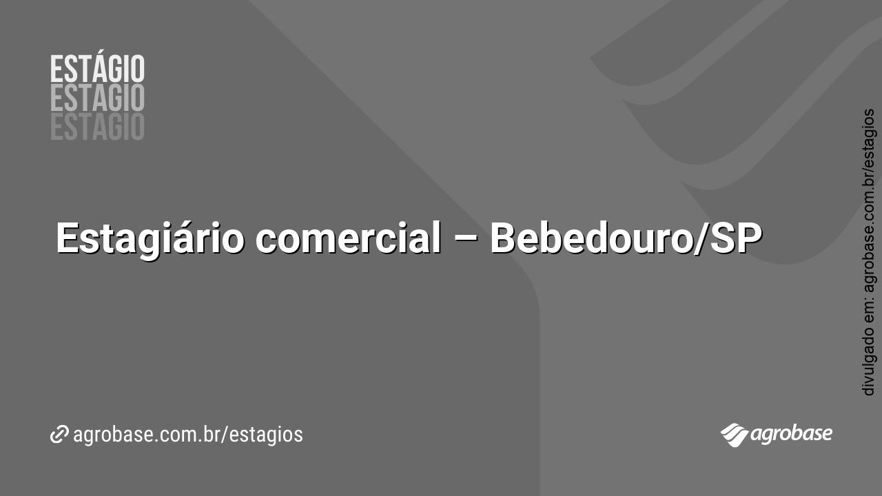 Estagiário comercial – Bebedouro/SP
