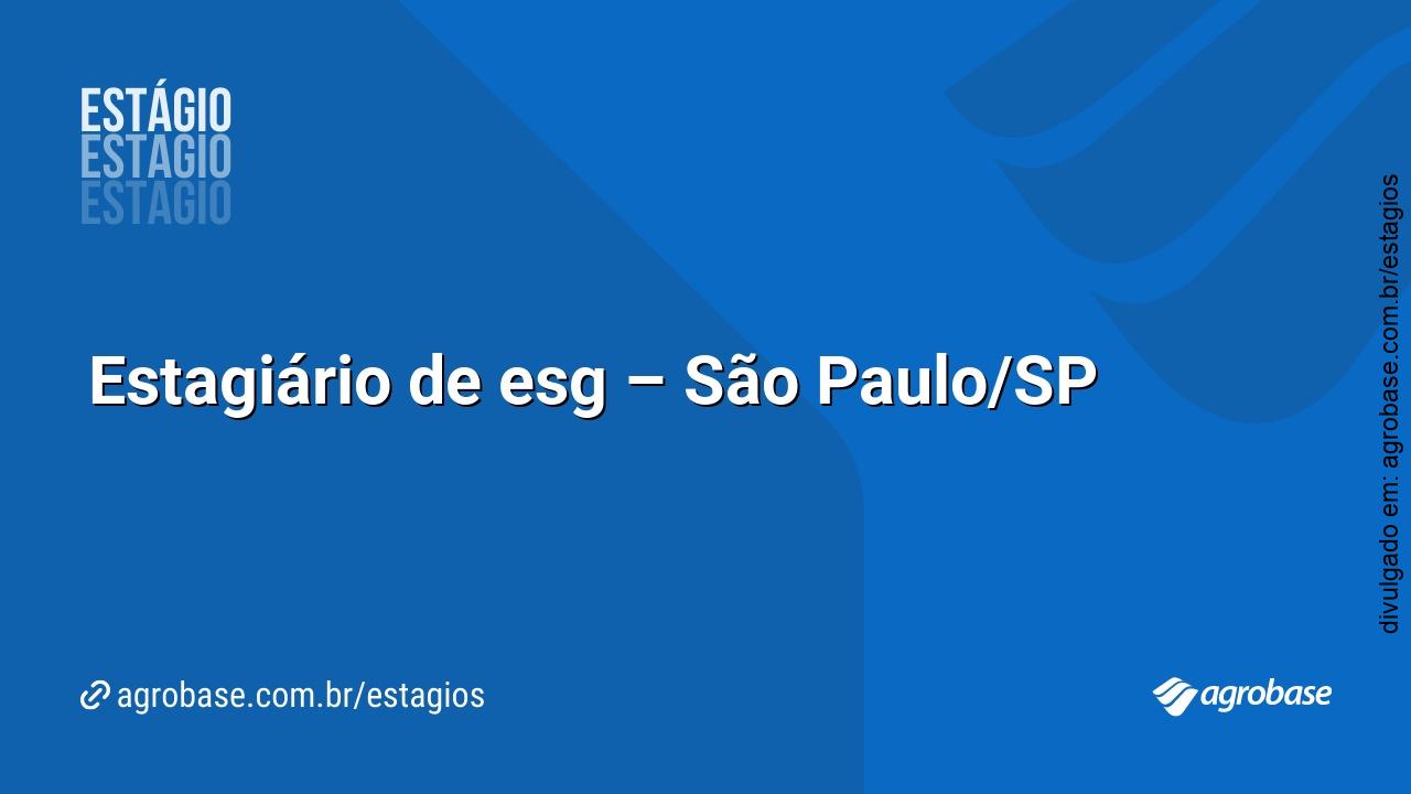Estagiário de esg – São Paulo/SP