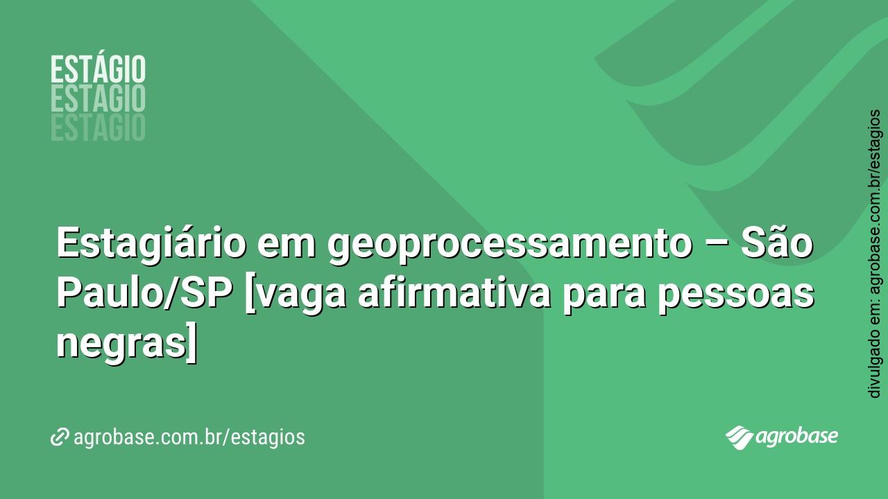 Estagiário em geoprocessamento – São Paulo/SP [vaga afirmativa para pessoas negras]