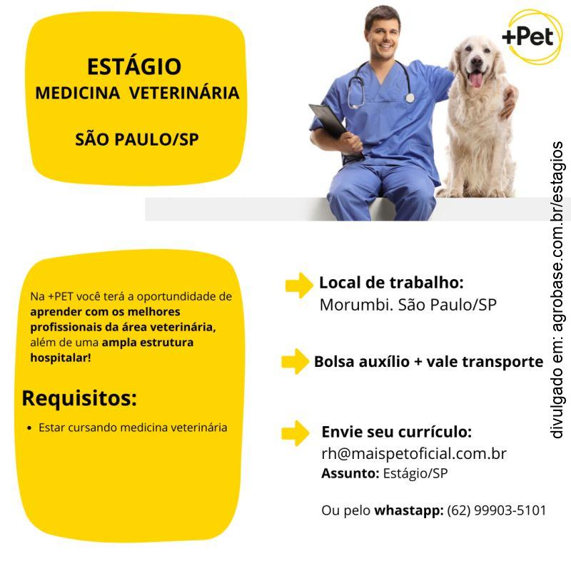 Estágio medicina veterinária – São Paulo/SP [Morumbi]