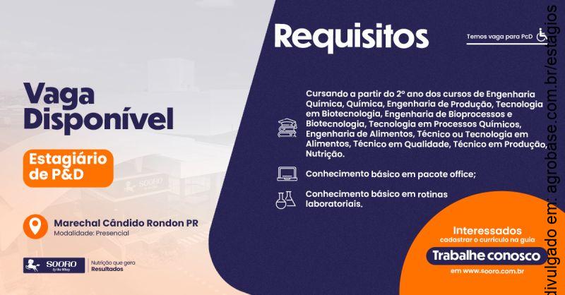 Estagiário de P&D – Marechal Cândido Rondon/PR