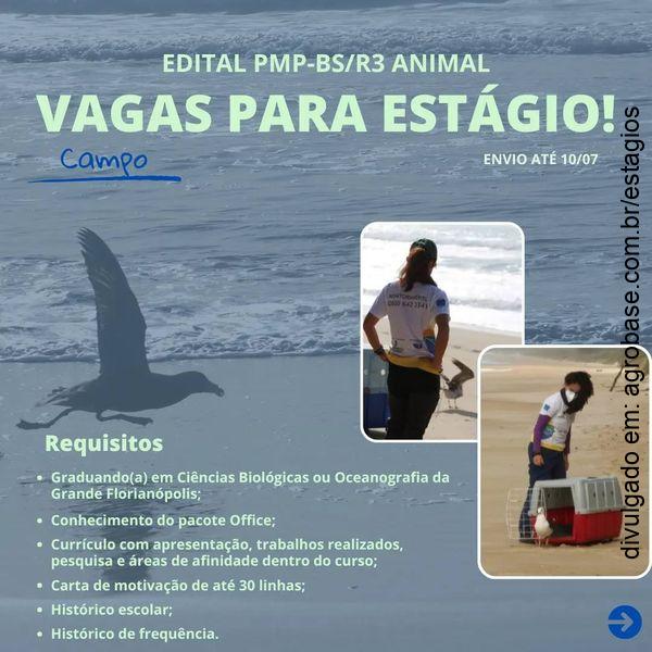 Estágio monitoramento de praias (campo) – Florianópolis/SC