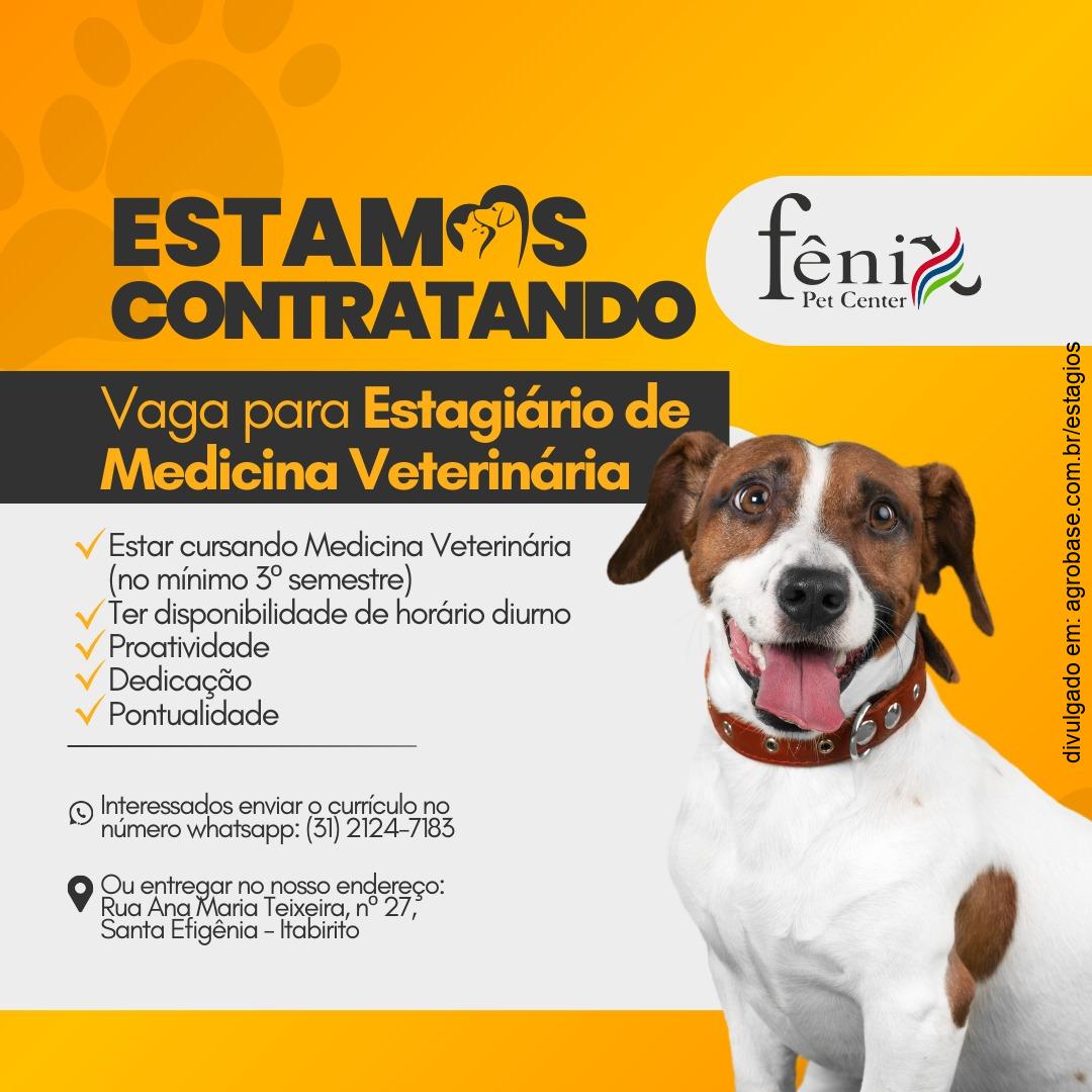 Estagiário de medicina veterinária – Itabirito/MG