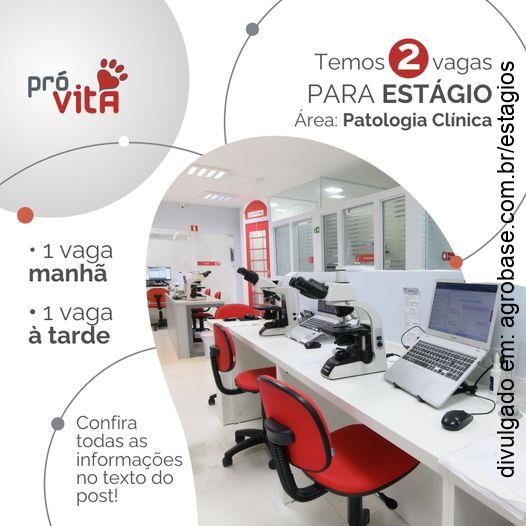 02 vagas estágio na área de patologia clínica vet – Curitiba/PR