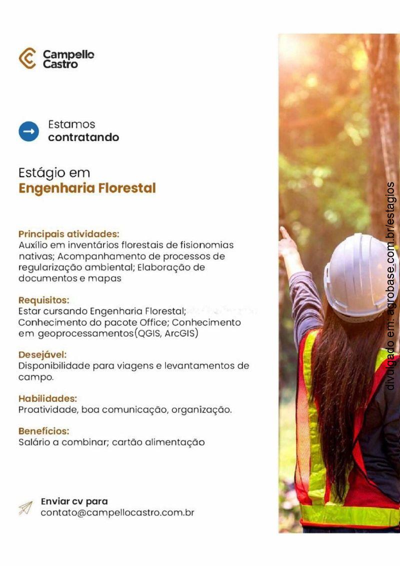 Estágio em engenharia florestal