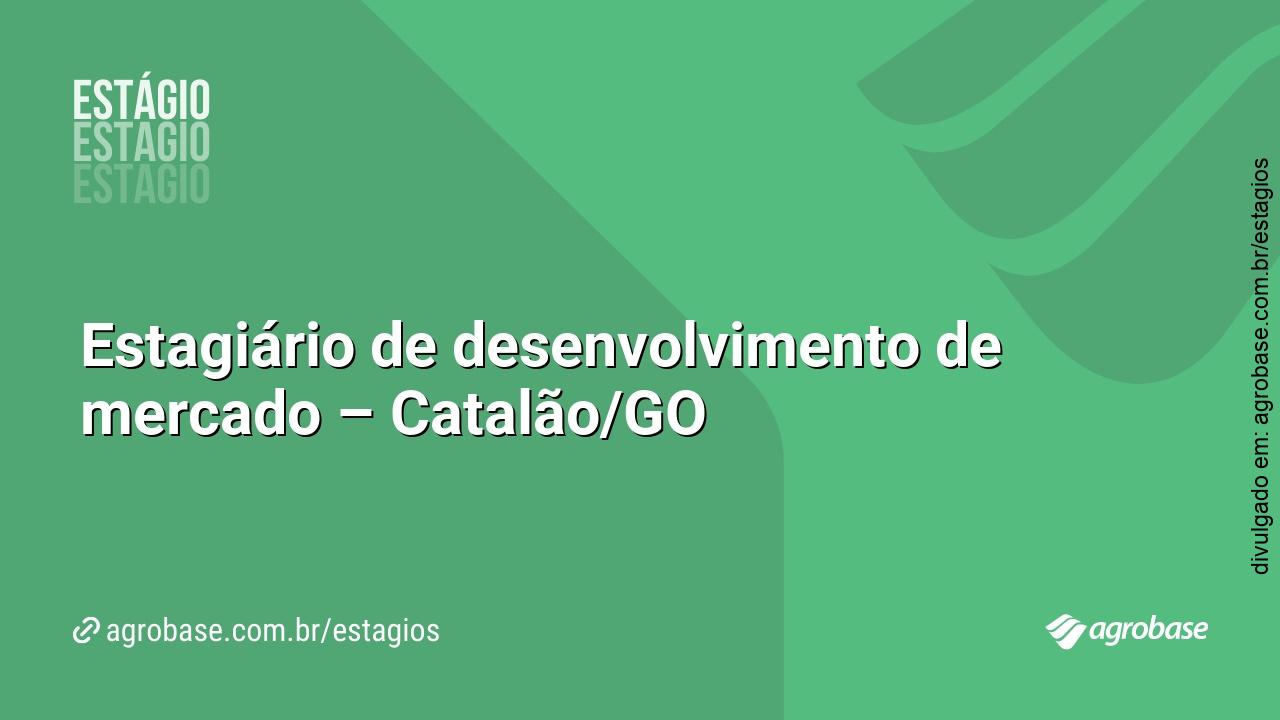 Estagiário de desenvolvimento de mercado – Catalão/GO