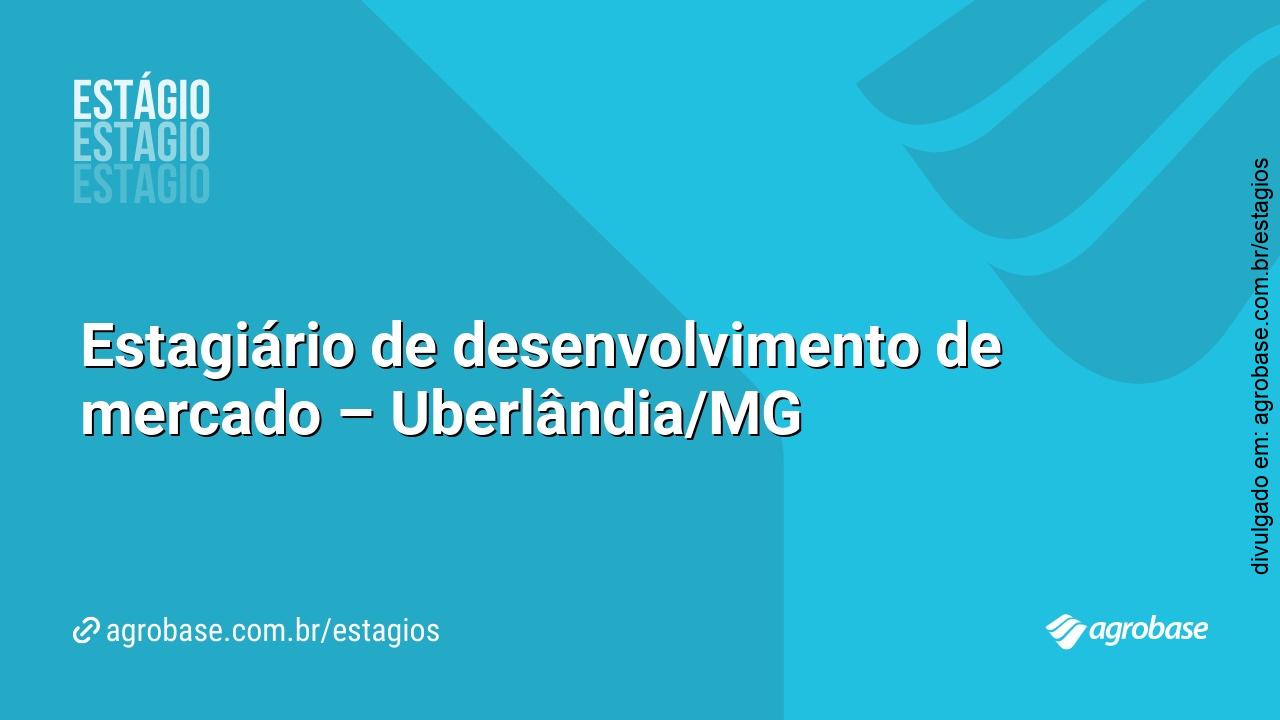 Estagiário de desenvolvimento de mercado – Uberlândia/MG