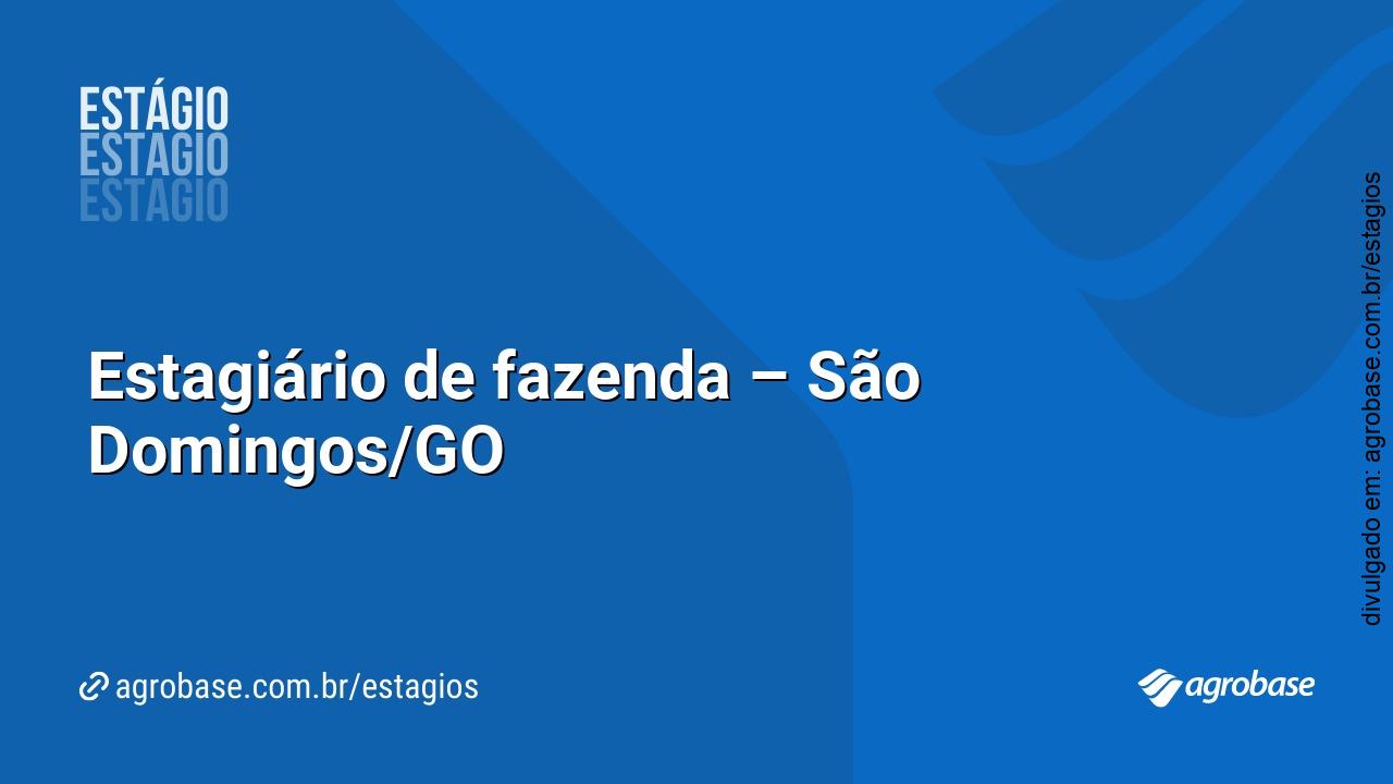 Estagiário de fazenda – São Domingos/GO