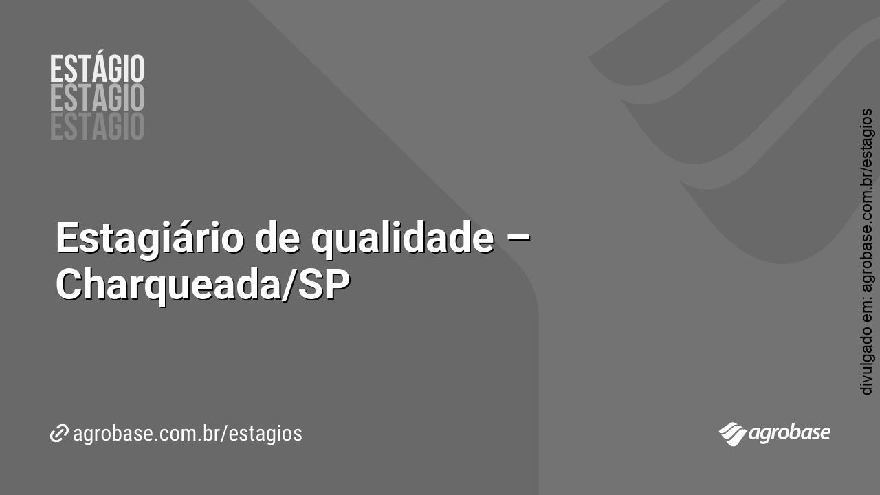 Estagiário de qualidade – Charqueada/SP