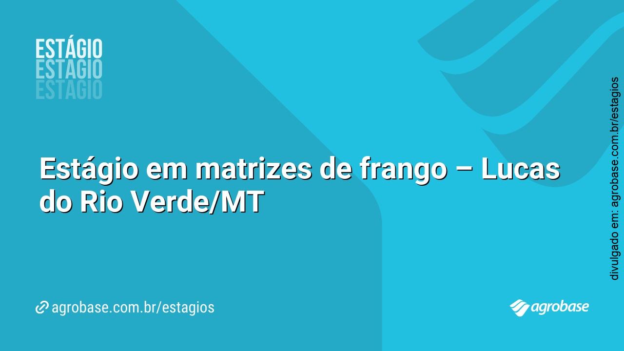 Estágio em matrizes de frango – Lucas do Rio Verde/MT