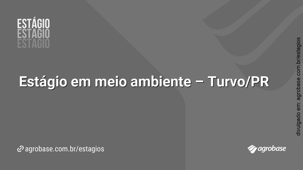 Estágio em meio ambiente – Turvo/PR