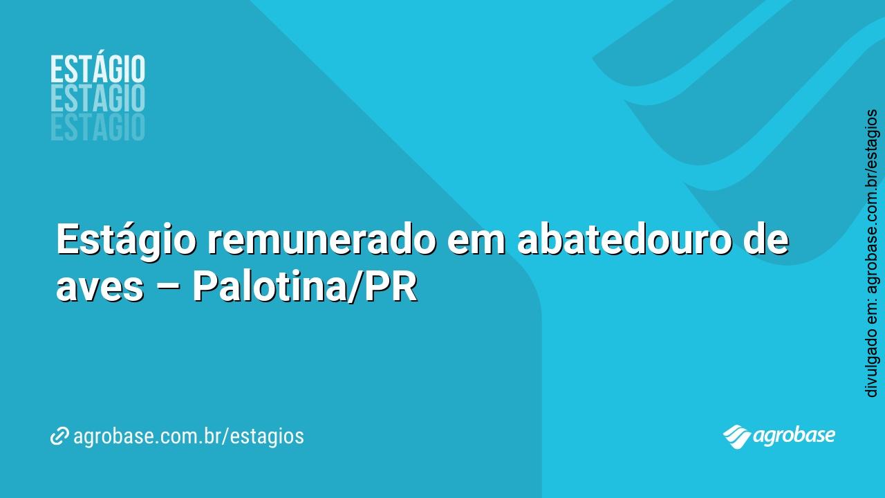 Estágio remunerado em abatedouro de aves – Palotina/PR