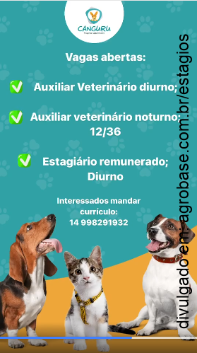 Vaga estagiário remunerado – Ourinhos/SP