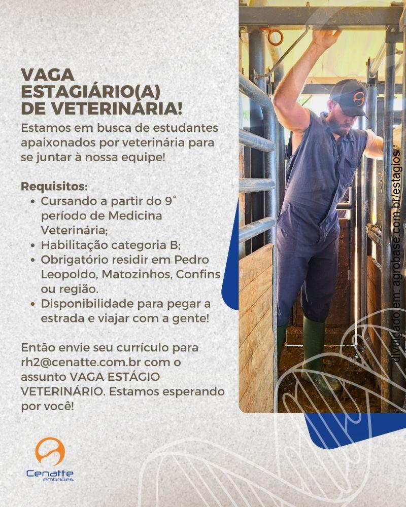 Estagiário de veterinária – Pedro Leopoldo, Matozinhos, Confins/MG e região