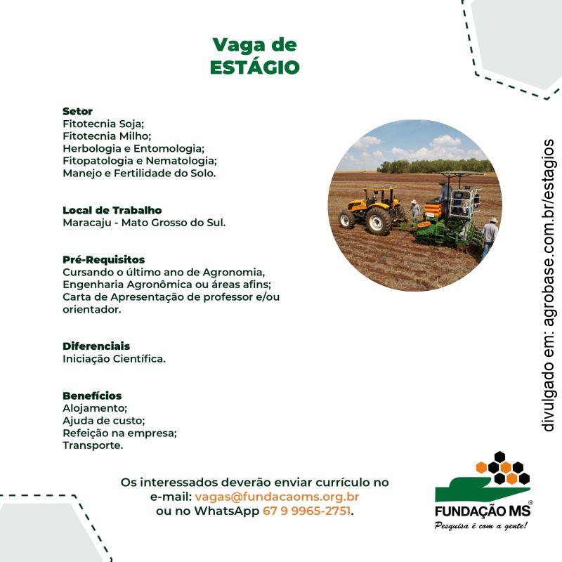 Estágio na área de pesquisa agronômica – Maracaju/MS