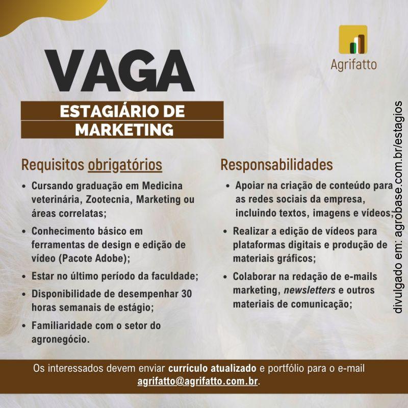 Estagiário de marketing – São Paulo/SP