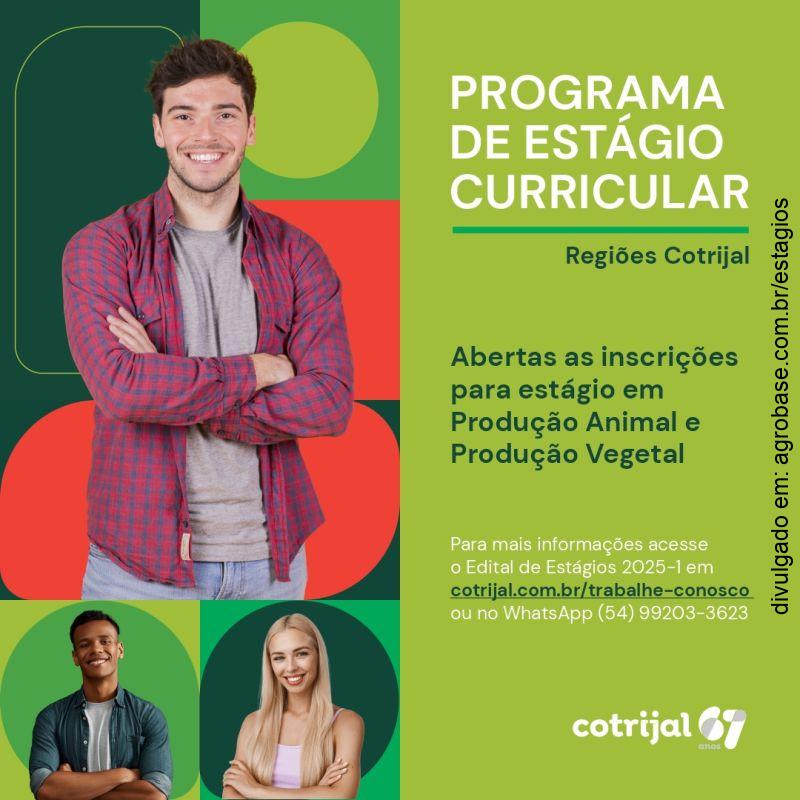 Programa de estágio curricular Cotrijal – RS