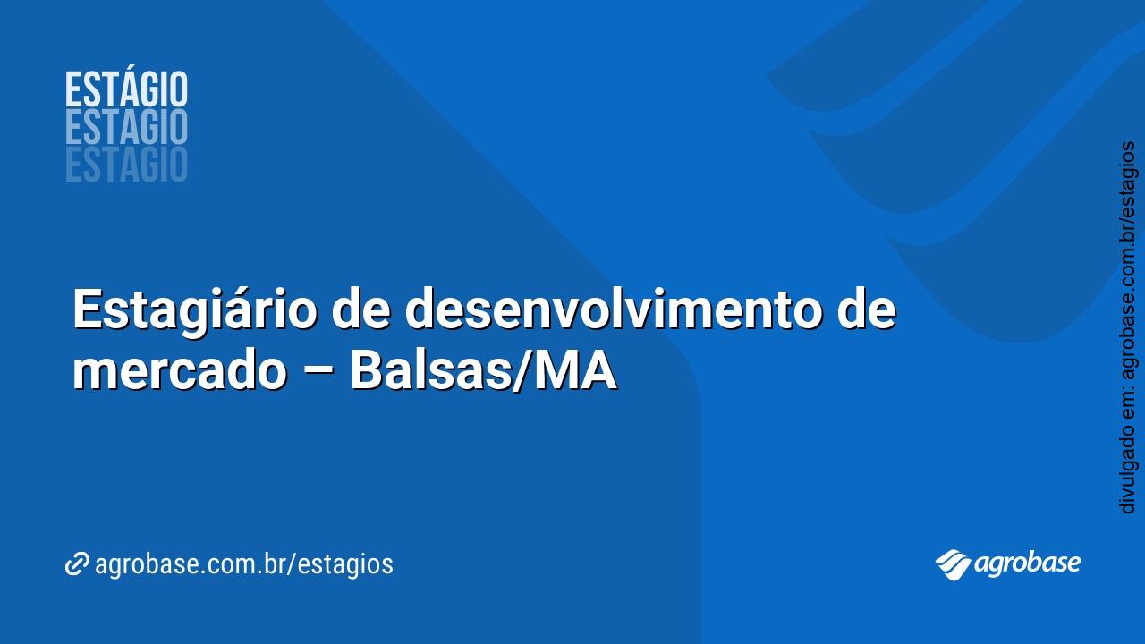 Estagiário de desenvolvimento de mercado – Balsas/MA