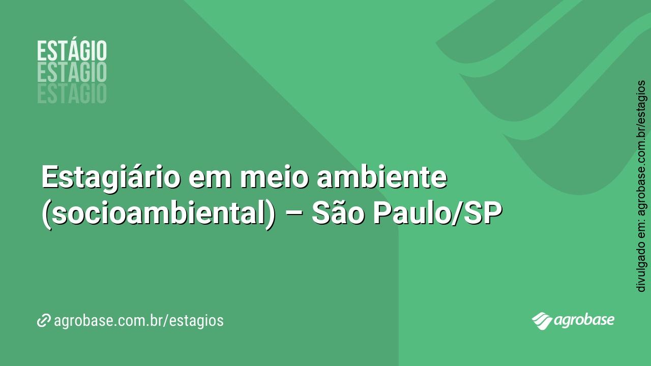 Estagiário em meio ambiente (socioambiental) – São Paulo/SP