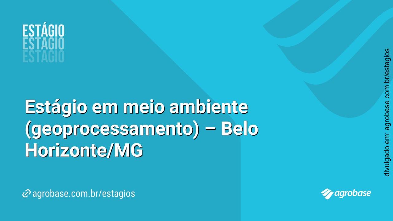 Estágio em meio ambiente (geoprocessamento) – Belo Horizonte/MG