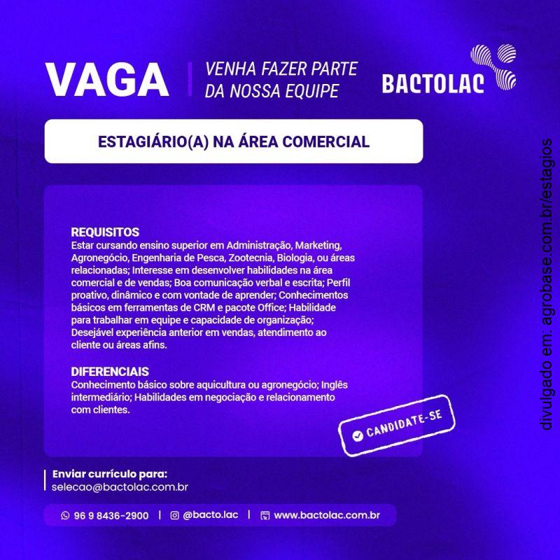 Estagiário na área comercial – Macapá/AP