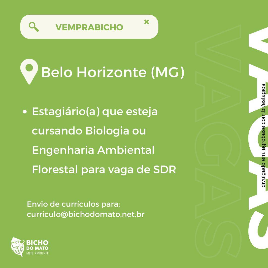 Estagiário para função de SDR (Sales Development Representative) – Belo Horizonte/MG