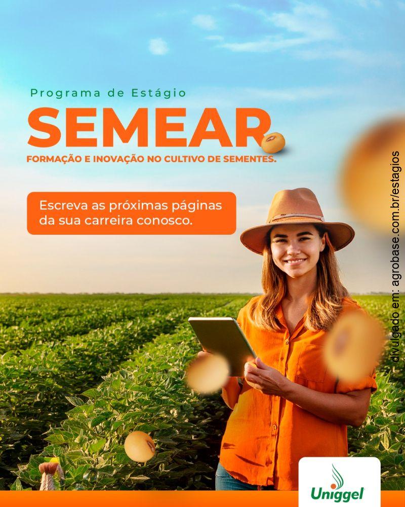 Programa de estágio Semear – GO, MT, MS e TO