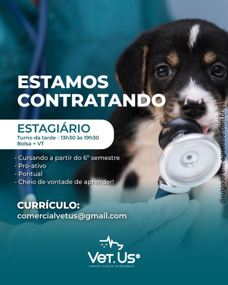 Estágio em med. veterinária