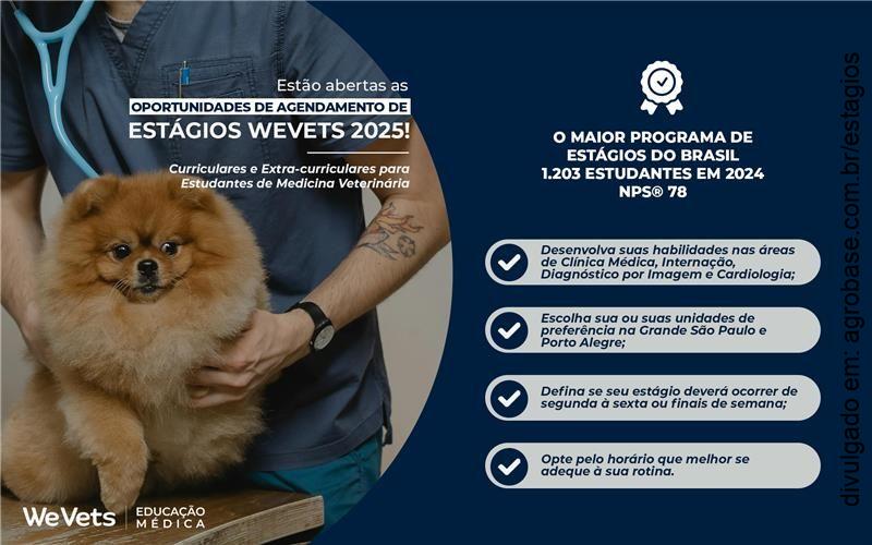 Estágio extra curricular não remunerado WeVets 2025