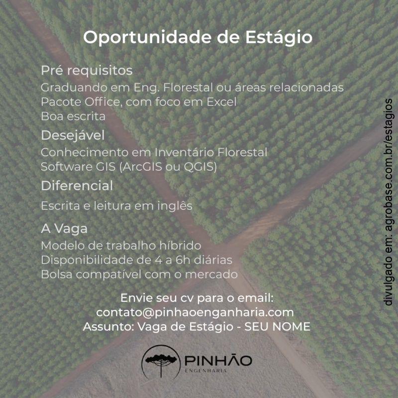 Estágio em engenharia florestal – Curitiba/PR