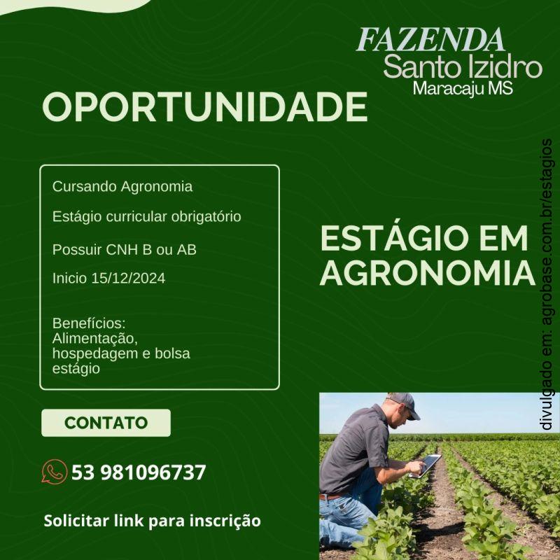 Estágio em agronomia – Maracaju/MS