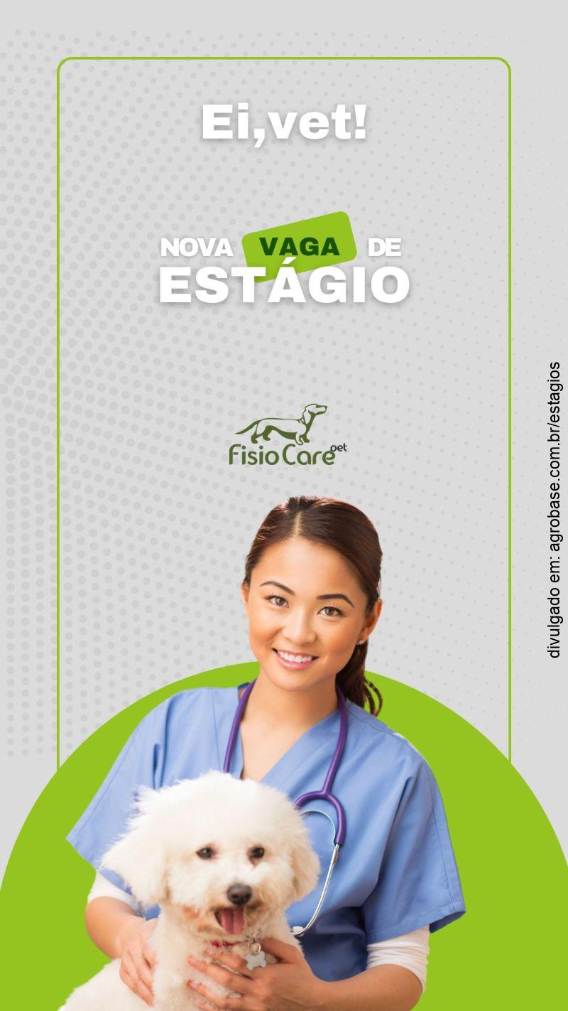 Estágio em fisioterapia veterinária – São Paulo/SP [zona sul]