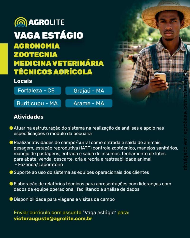 Vagas de estágio agronegócio – CE e MA