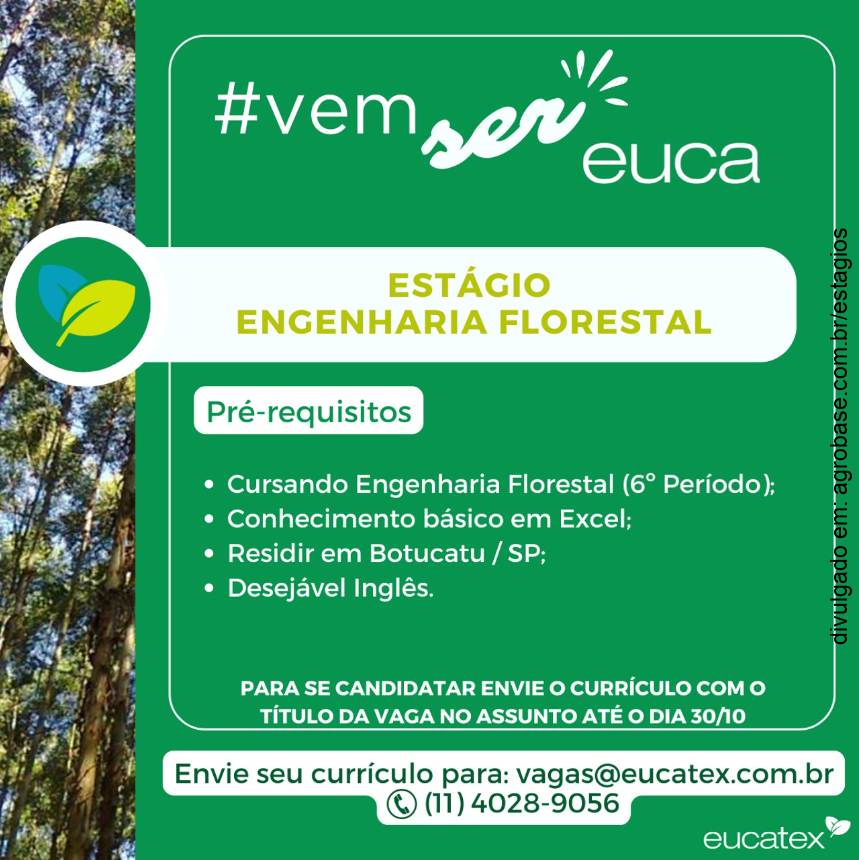 Estágio em engenharia florestal – Botucatu/SP