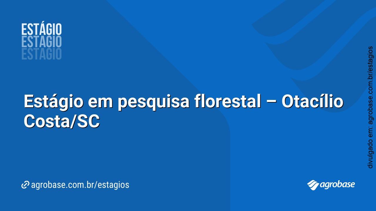 Estágio em pesquisa florestal – Otacílio Costa/SC