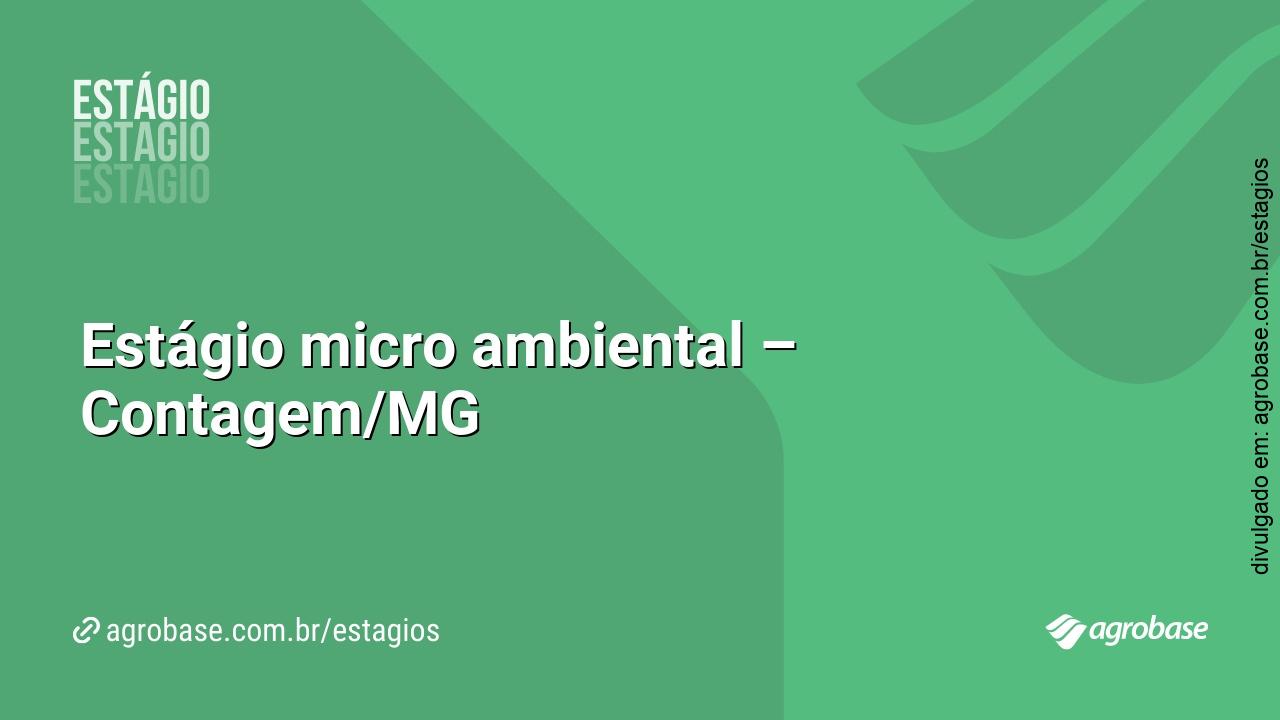 Estágio micro ambiental – Contagem/MG