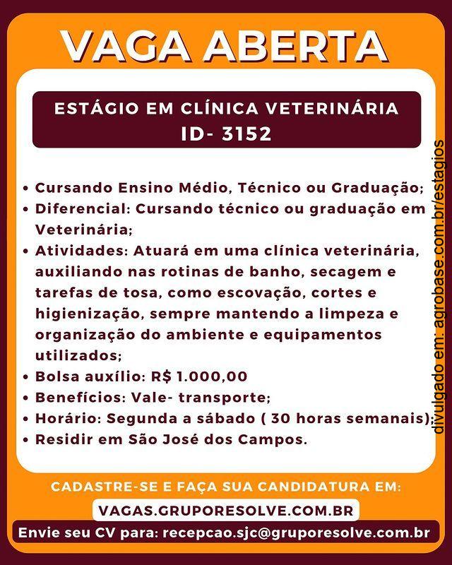 Estágio em clínica veterinária – São José dos Campos/SP