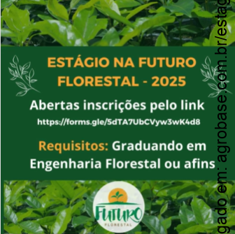 02 vagas de estágio 2025 na Futuro Florestal – SP e BA