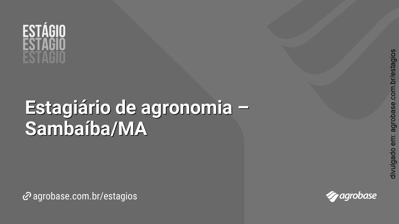 Estagiário de agronomia – Sambaíba/MA