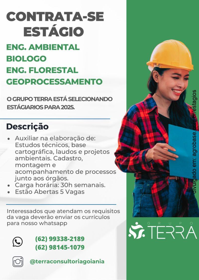 Estágio no Grupo Terra – GO