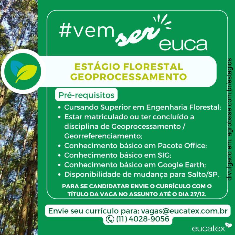 Estágio florestal geoprocessamento – Salto/SP