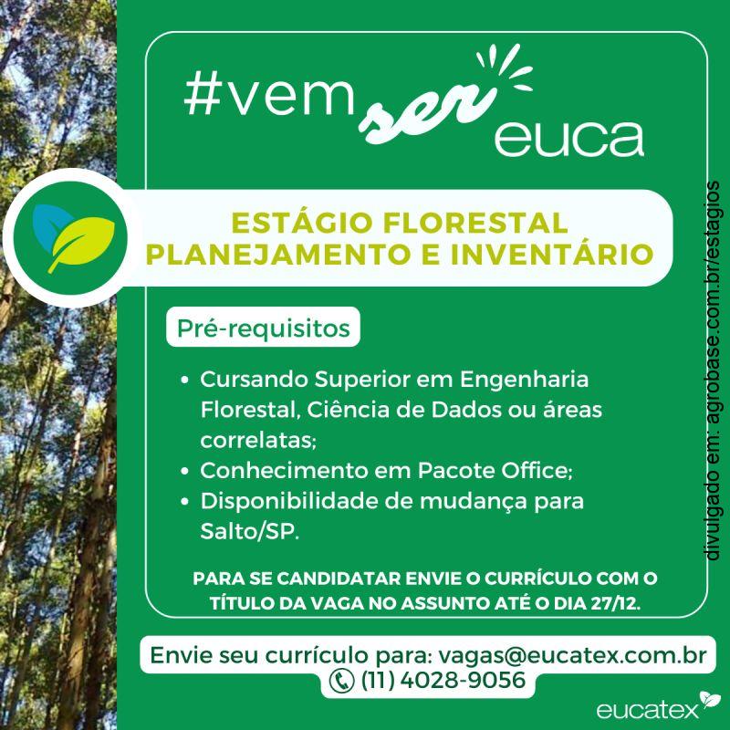 Estágio florestal em plan. e inventário – Salto/SP