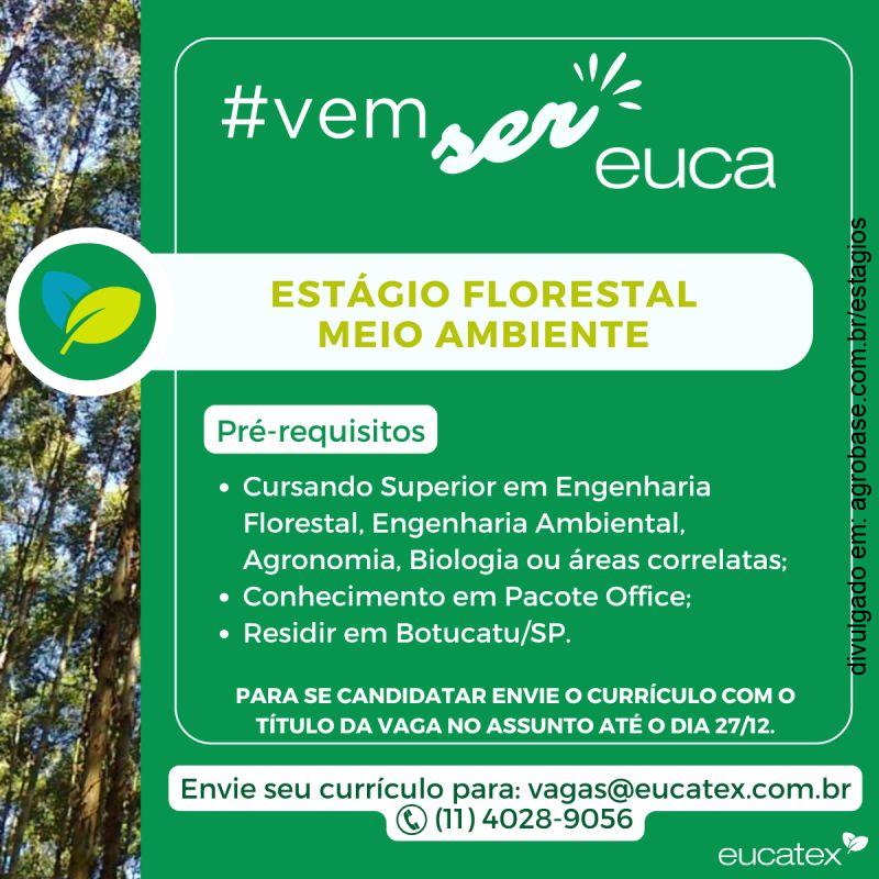 Estágio florestal meio ambiente – Salto/SP