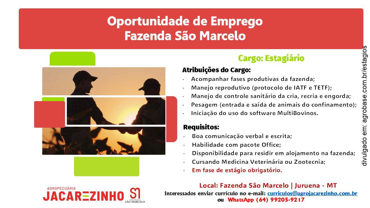 Estágio em fazenda – Juruena/MT