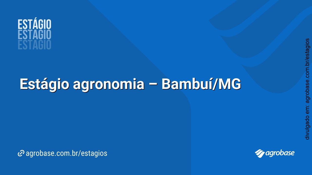 Estágio agronomia – Bambuí/MG