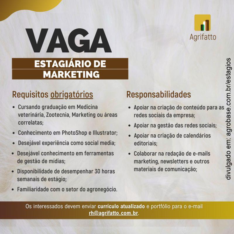 Estagiário de marketing – São Paulo/SP