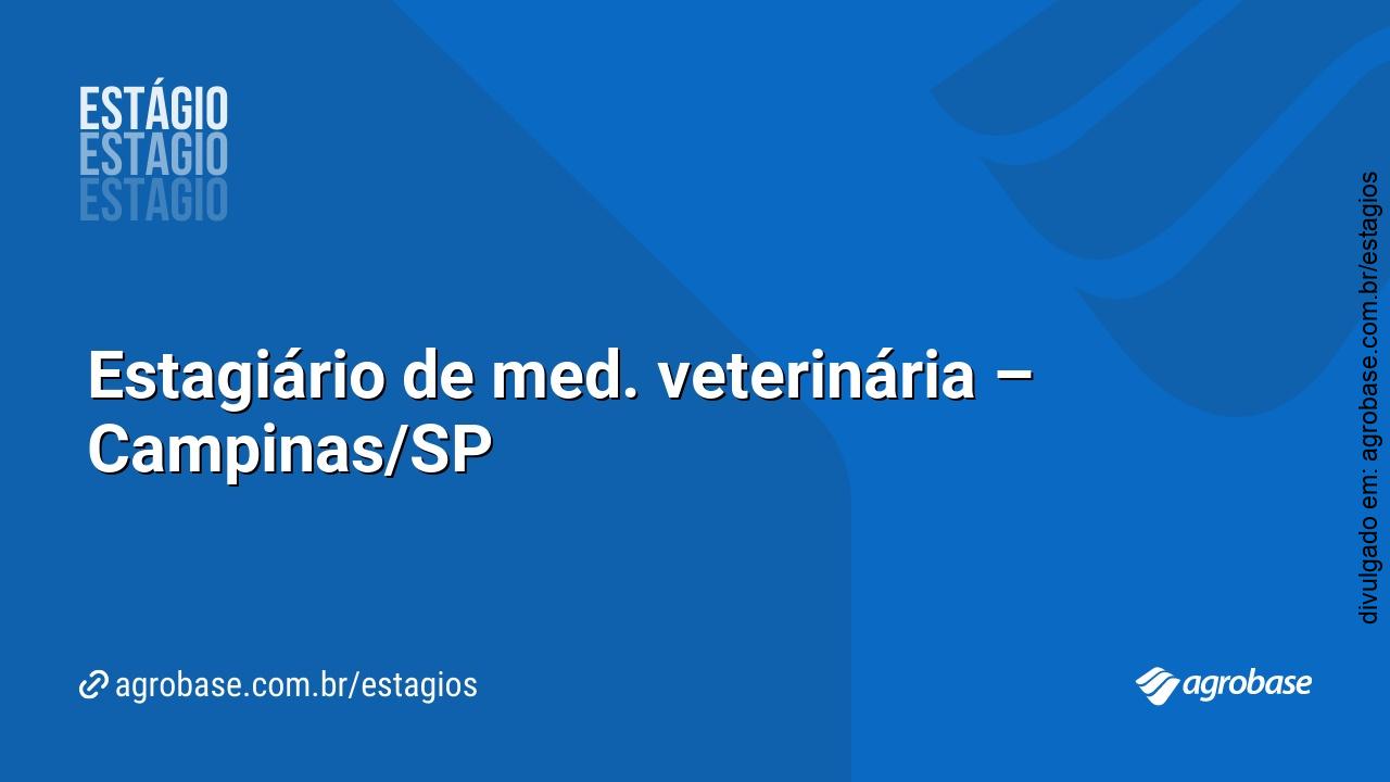 Estagiário de med. veterinária – Campinas/SP