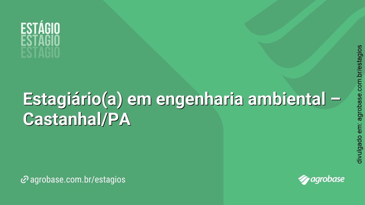 Estagiário(a) em engenharia ambiental – Castanhal/PA